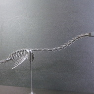 ネジアート　プレシオサウルス　