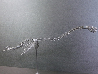 ネジアート　プレシオサウルス　