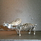 ネジアート　大型トリケラトプス骨格