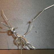ネジアート　大型プテラノドン骨格