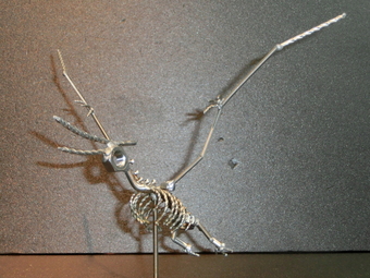 ネジアート　大型プテラノドン骨格